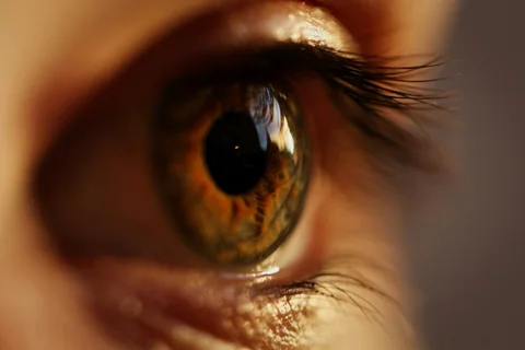 A close view of a warm brown eye